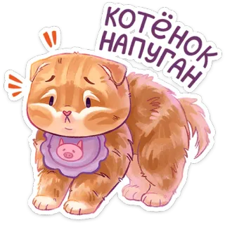 😨 котёнок напуган 猫, 子猫, 動物, 怖い, 可愛い telegram sticker