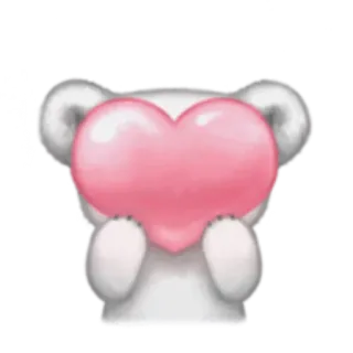 ❤️ oso, corazón, amor, animal, lindo telegram sticker