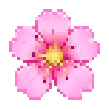 🌸