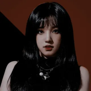 ⚔ 여자, 인물 사진, 흑발, 한국인, 가수, 아이돌, 아시아인 telegram sticker