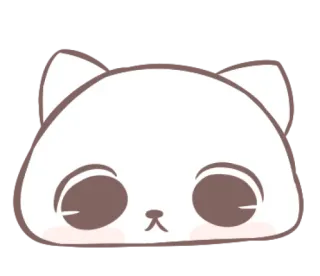 🤕 gato, animal, fofo, adesivo, desenho animado, kawaii whatsapp sticker