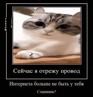 ✂️ Сейчас я отрежу провод
Интернета больше не быть у тебя
Слышишь? gato, meme, russo, internet, engraçado whatsapp sticker