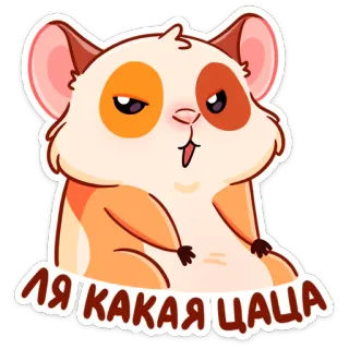 😉 ЛЯ КАКАЯ ЦАЦА criceto, carino, animale, animale domestico, roditore telegram sticker