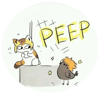 😳 PEEP oiseau, chat, animal, mignon, cui-cui, dessin, autocollant whatsapp sticker