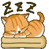 🐈