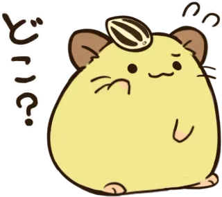 😅 どこーっ？ hamster, question, cute, animal, kawaii telegram sticker