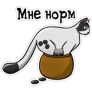 👍 Мне норм cat, sticker, russian, me norm, pot, animal telegram sticker