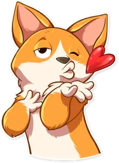 😘 corgi, perro, animal, dibujos animados, lindo, beso, corazón, amor whatsapp sticker