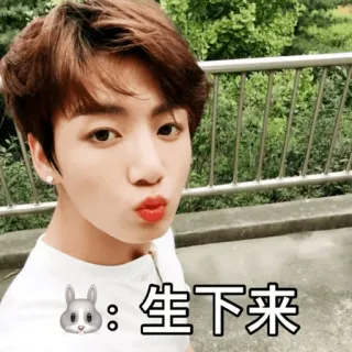 🐰 🐰：生下来 kpop, asian, rabbit, text, chinese telegram sticker