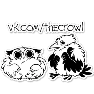 © vk.com/thecrowl 올빼미, 까마귀, 새, 만화, 스티커, 동물 telegram sticker