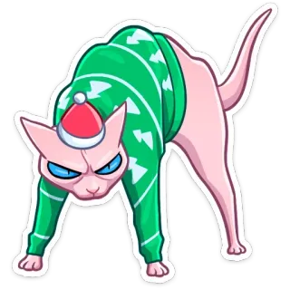 😡 Katze, Pullover, Weihnachten, wütend, Sphynx Katze, Feiertag whatsapp sticker