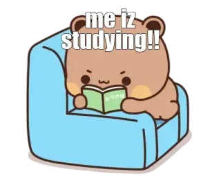 🔰 me iz studying!! ours, lecture, étude, mignon, dessin animé whatsapp sticker