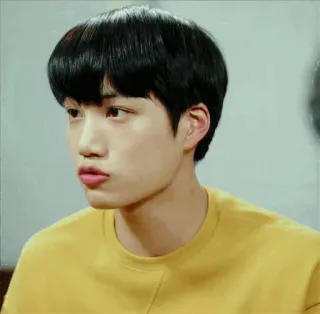 🍂 whatsapp sticker