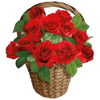 🌹 roses, flowers, basket, red, bouquet whatsapp sticker