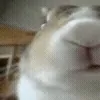🥕