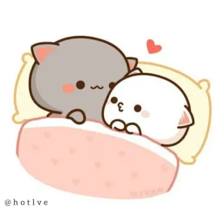 🙄 @hotlve cat, cute, pillow, bed, love telegram sticker