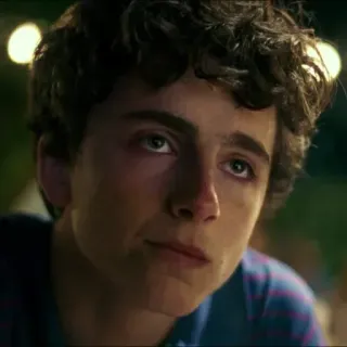 📎 Timothée Chalamet Schauspieler, Promi, Porträt, Mann, jung, Film telegram sticker