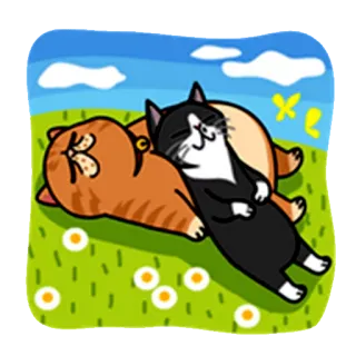 😪 кот, животное, стикер, питомец, котенок, иллюстрация whatsapp sticker