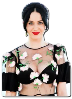 🌺 Katy Perry 歌手, 有名人, ポップスター, ポートレート telegram sticker
