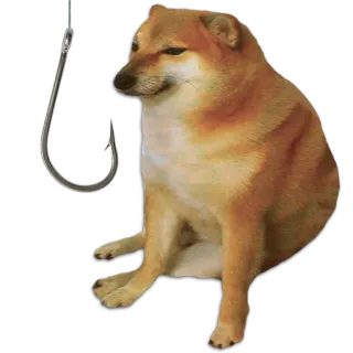 🎣 Doge doge, ミーム, 犬, 動物, 面白い, 釣り針 telegram sticker