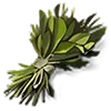 🌿