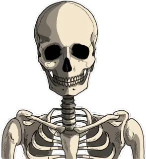 😶 โครงกระดูก, กายวิภาคศาสตร์, กระดูก, ฮาโลวีน, หัวกะโหลก telegram sticker