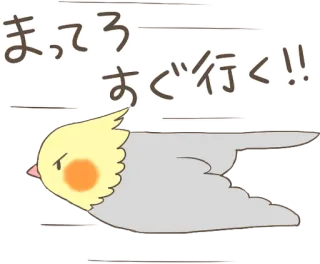 😠 まってろ
すぐ行く!! vogel, Nymphensittich, süß, tier, fliegend, japanischer Text, manga, kawaii telegram sticker
