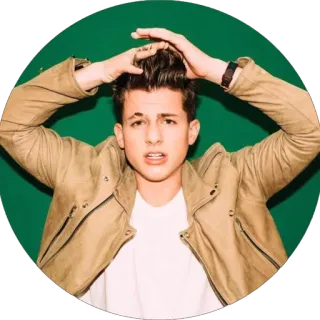 😳 Charlie Puth musician, singer, celebrity, portrait telegram sticker
