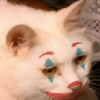 🤡 kucing, badut, meme, hewan, peliharaan, lucu telegram sticker