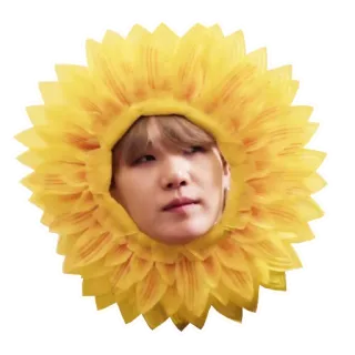 🌻 persona, fiore, girasole, faccia, ritratto telegram sticker