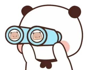 🐻 panda, binocolo, carino, animale, cartone animato, guardando, osservando telegram sticker