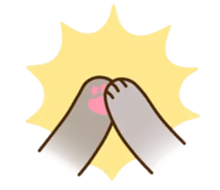 👊 cat, paws, high five, animal, sticker whatsapp sticker
