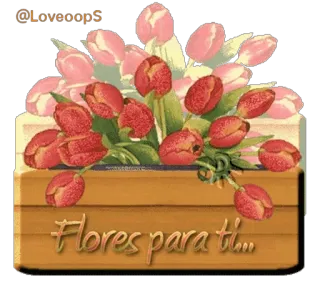 🌹 Flores para ti... flowers, tulips, gift, love, floral whatsapp sticker