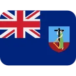 🇲🇸