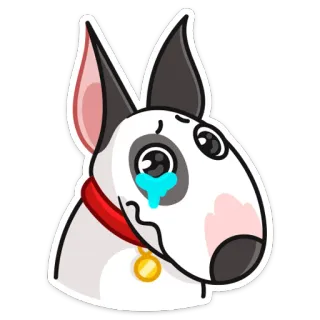 😢 chien, bull terrier, triste, pleurer, larmes, animal, animal de compagnie whatsapp sticker