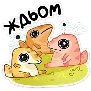 🫥 ЖАБОМ lucertola, animale, rettile, cartone animato, carino whatsapp sticker