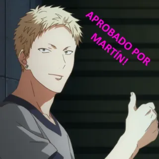 👍 APROBADO POR MARTÍN! anime, approval, thumbs up, person, animated, agreement telegram sticker