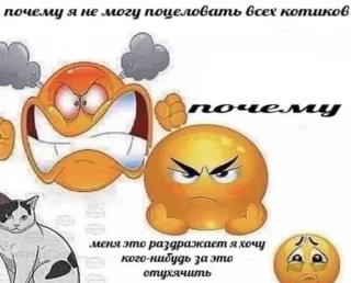 🤬 почему я не могу поцеловать всех котиков
почему
меня это раздражает я хочу
кого-нибудь за это
отухячить cats, emotions, Russian language, angry, frustration telegram sticker