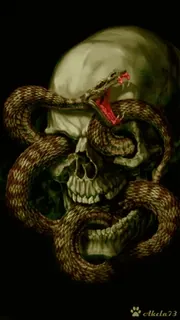 💀 череп, змея, опасность, рептилия, яд, смерть, скелет telegram sticker