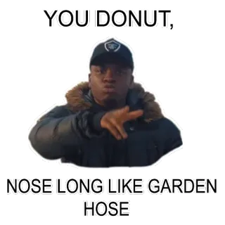 🖕 YOU DONUT, NOSE LONG LIKE GARDEN HOSE оскорбление, шланг, пончик, сад, оскорбительный telegram sticker