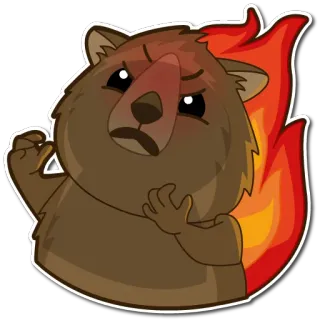 😡 animal, bear, angry, fire, cute, sticker telegram sticker