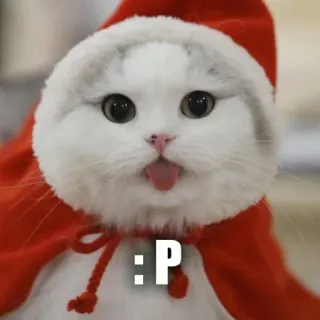 👋 :P cat, animal, cute, tongue, sticker, funny telegram sticker