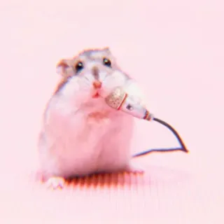 ✨ Hamster, Mikrofon, Tier, süß, rosa whatsapp sticker