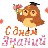 🦉