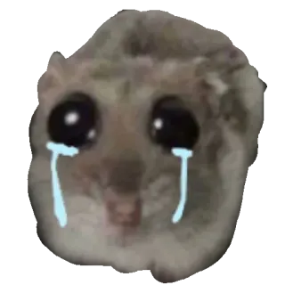 😭 crying, mouse, sad, meme, tears, rodent, emotional, distressed telegram sticker