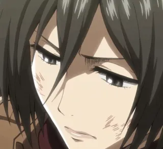 🌿 Mikasa Ackerman Attack on Titan anime, attack on titan, mikasa, ackerman telegram sticker