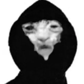 🫥 Katze, Kapuzenpulli, Meme, lustig, Tier, Haustier, dunkel telegram sticker