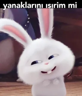 🙈 Snowball The Secret Life of Pets yanaklarını ısırır mi 토끼, 귀여운, 애완 동물, 동물, 웃긴, 만화 whatsapp sticker