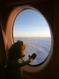 🖐 Kermit the Frog Kermit the Frog, Muppets, travel, airplane, window, clouds, sky, adventure telegram sticker