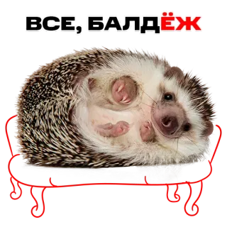 надЁЖные стикеры whatsapp stickers